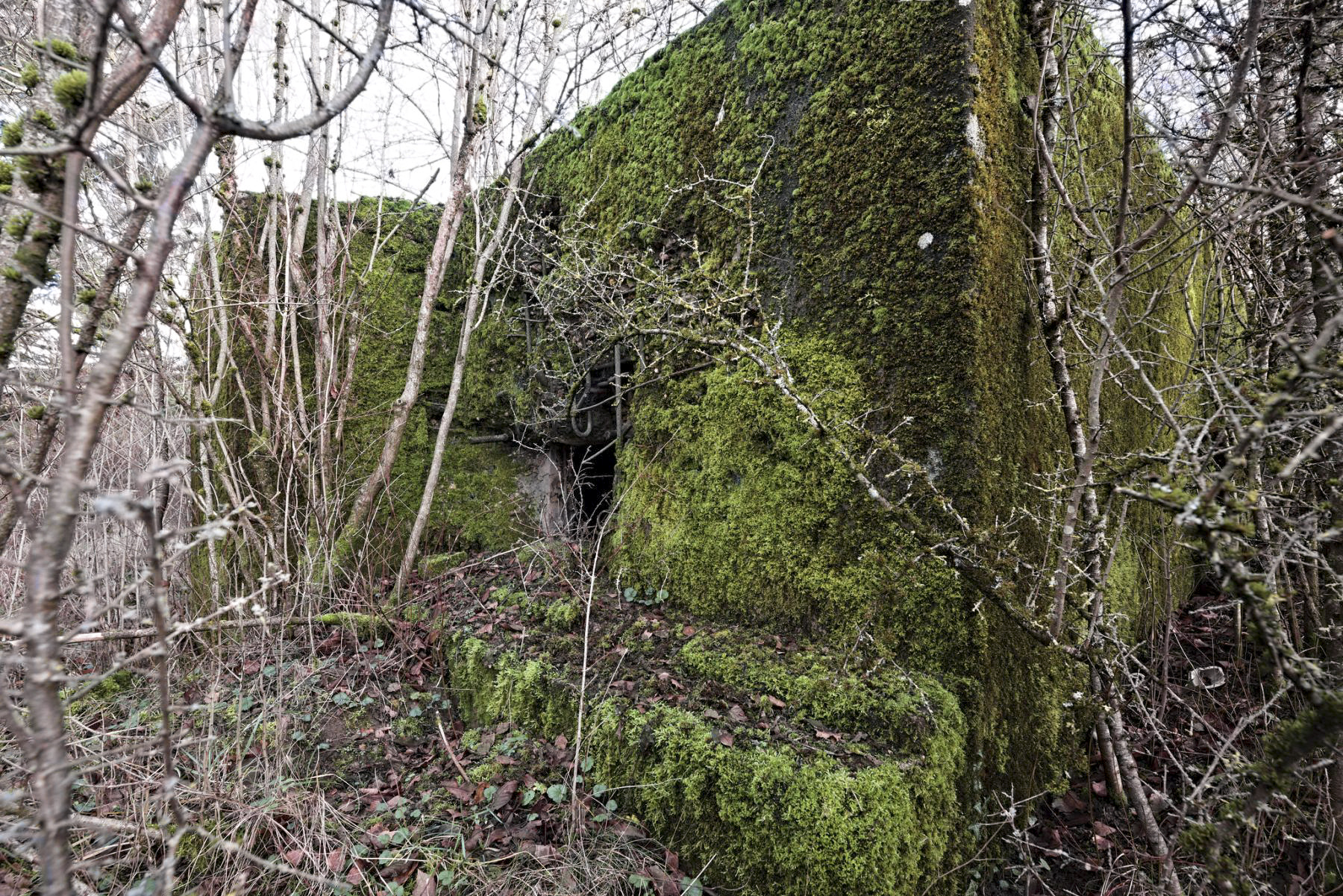 Ligne Maginot - FONTOY GARE 1 - (Blockhaus pour arme infanterie) -  - thierry caland