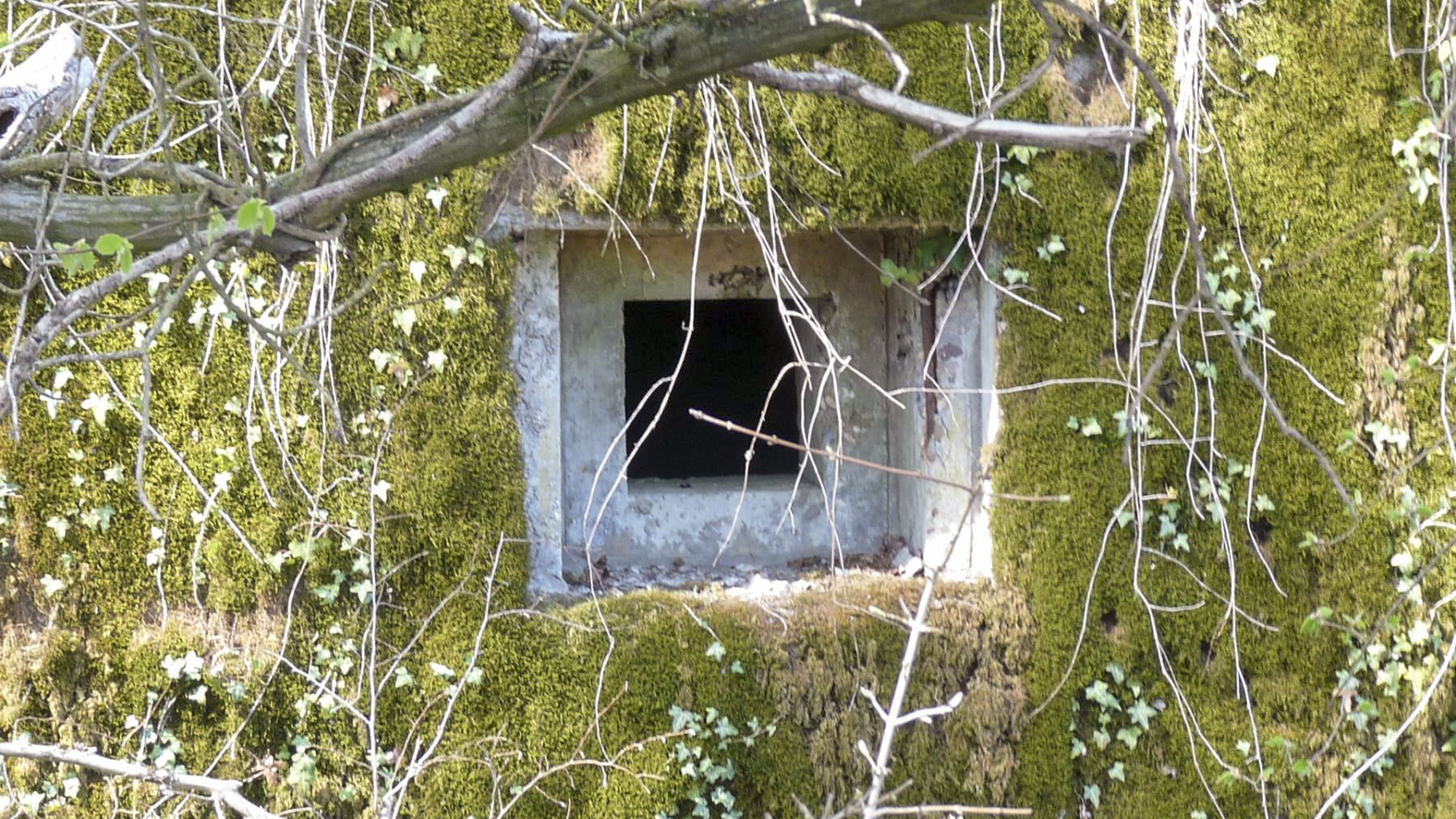 Ligne Maginot - LES TRICHES 1 - (Blockhaus pour canon) - 
