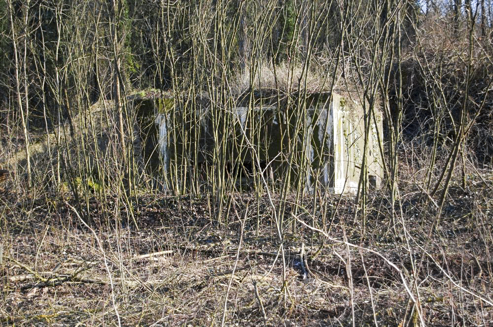 Ligne Maginot - LONGLAVILLE EST - (Blockhaus pour canon) - Ce blockhaus est implanté à présent dans une propriété privée en bordure de la route qui conduit au chantier d'exploitation du crassier de Longlaville. Situé derrière une haie d'arbres il n'est guère visible de la grand route.D'où une photo tres peu parlante - Christian RICHON-devoitine520