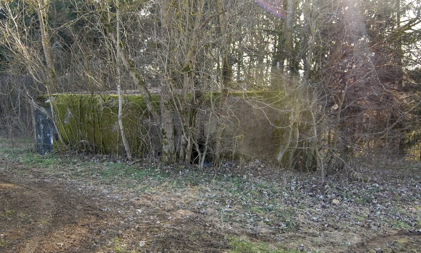 Ligne Maginot - MM252 - BOIS DU HARPEL OUEST - (Blockhaus pour arme infanterie) - Situé à moins de cinquante mètres de l'autre blockhaus, celui avait pour mission le contrôle de la vallée de la Chiers. Sur l'autre versant de la vallée on rejoint la ligne Maginot et les secteurs des A2 FERMONT et A3 Latiremont.