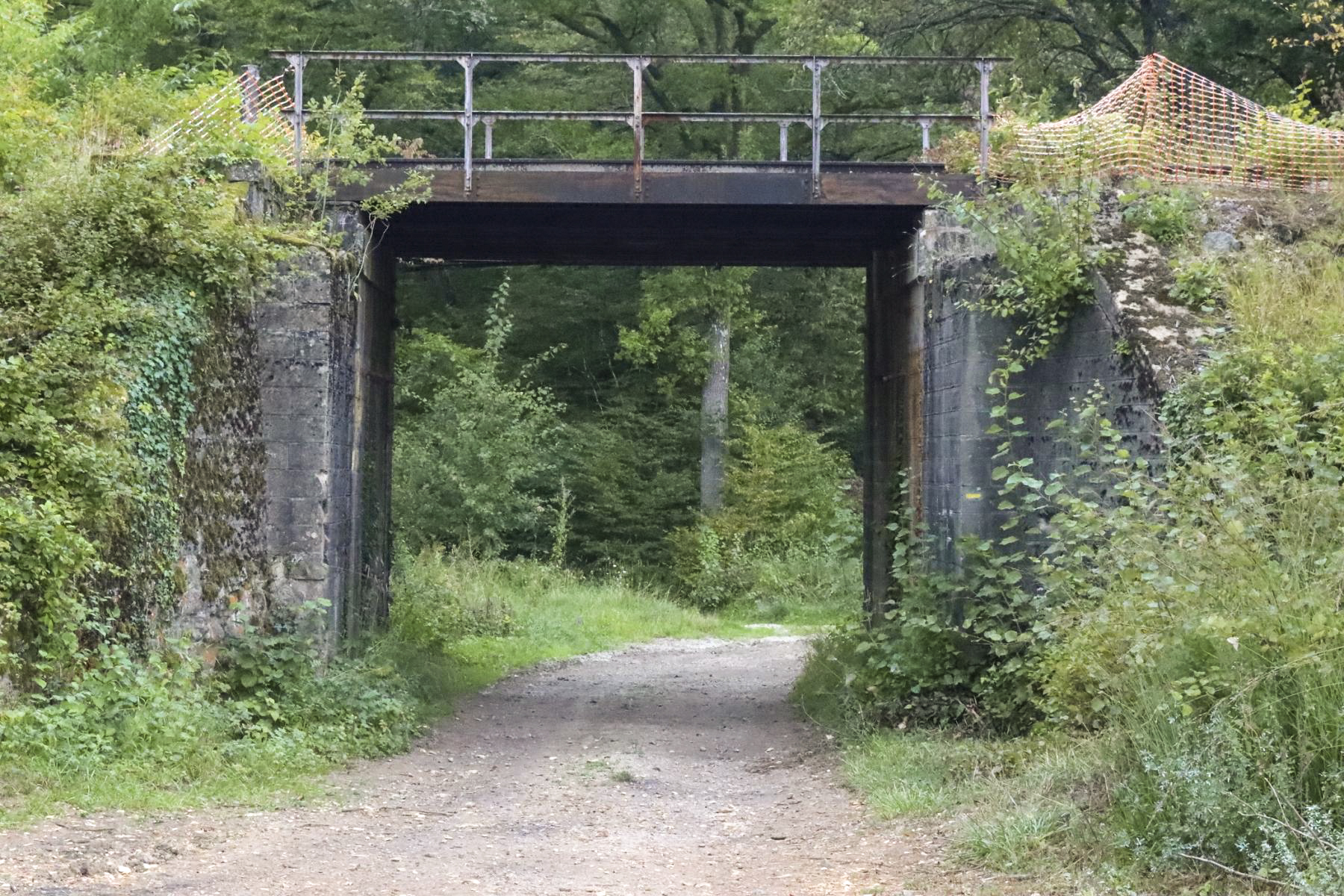 Ligne Maginot - VF60 - ROCADE SAINT-HUBERT / BOULANGE / MANCE - PARTIE SFCR - (RESEAU - Voie 60 - Antenne ou rocade ferroviaire) - Pont des Vaches