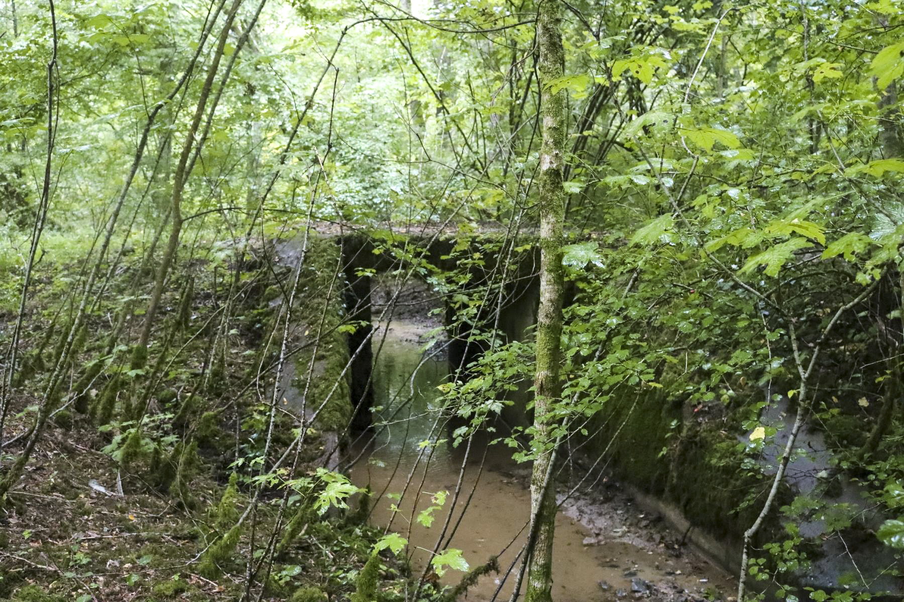 Ligne Maginot - VF60 - ROCADE SAINT-HUBERT / BOULANGE / MANCE - PARTIE SFCR - (RESEAU - Voie 60 - Antenne ou rocade ferroviaire) - Pont des Seigneurs