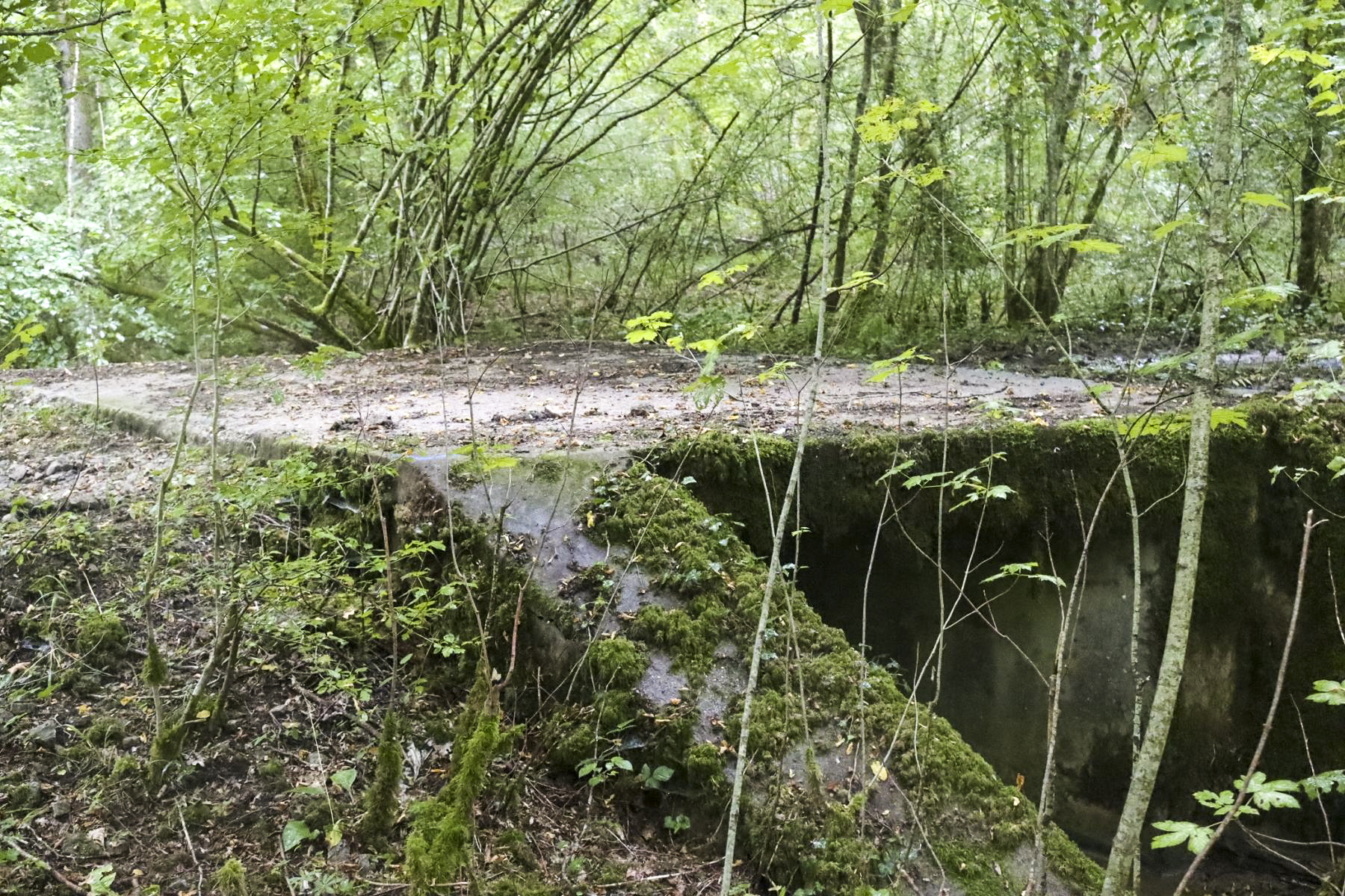Ligne Maginot - VF60 - ROCADE SAINT-HUBERT / BOULANGE / MANCE - PARTIE SFCR - (RESEAU - Voie 60 - Antenne ou rocade ferroviaire) - Pont des Seigneurs - Eric KLAMEREK