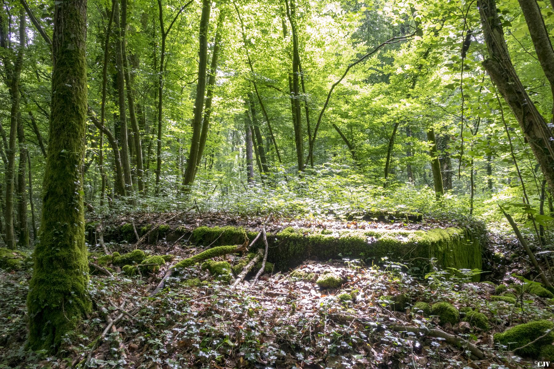 Ligne Maginot - 1LBIS - (Chambre de coupure) -  - Lia VERMEULEN