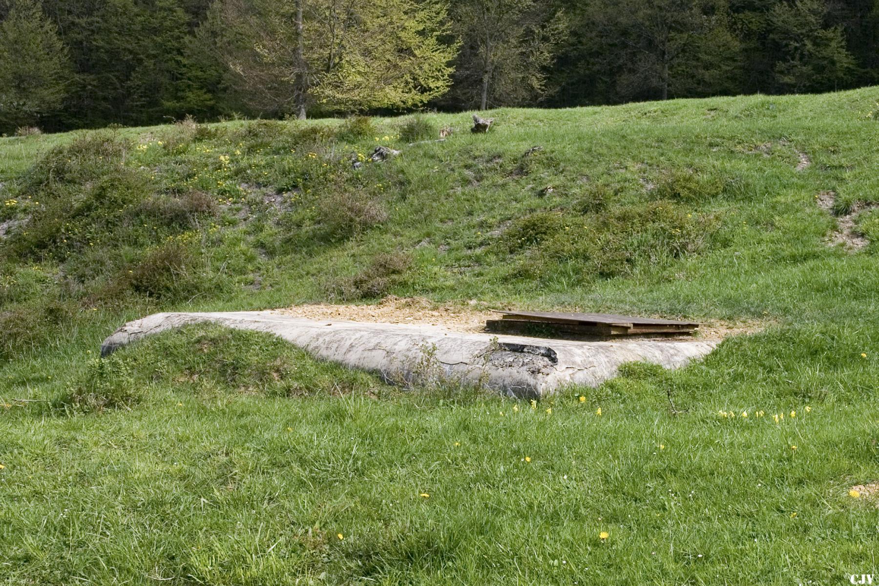Ligne Maginot - 24LBIS - (Chambre de coupure) - 