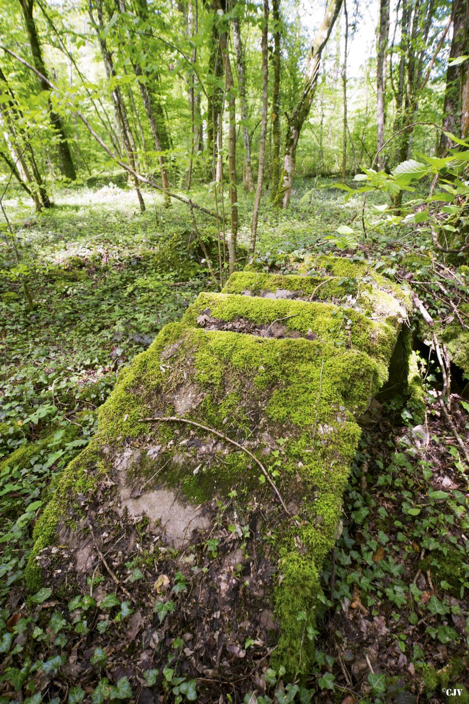 Ligne Maginot - BOIS DE BEUVEILLE - (Casernement) - Vestiges