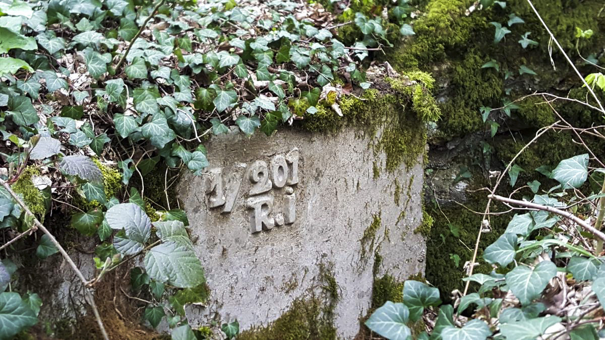 Ligne Maginot - BOIS DE BEUVEILLE 1 - (PC) - Sur le boyau d'accès de l'entrée gauche du PC, moulage en béton