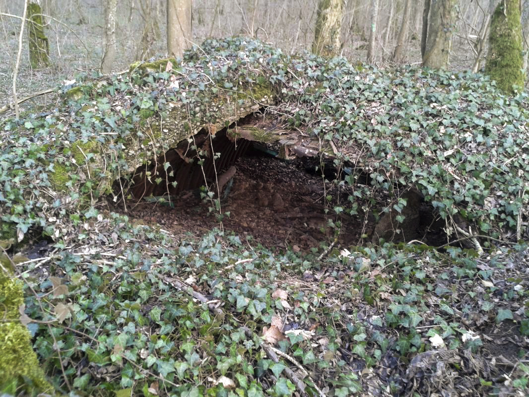 Ligne Maginot - BOIS DU FAYEL (I/143° RALH) - (PC de Sous-Secteur) - Ce PC n'existe pratiquement plus.
Il ne reste qu'un vestige effondré et envahi par la nature. On voit encore un peu la tôle arrondie qui constituait le ou les bâtiments