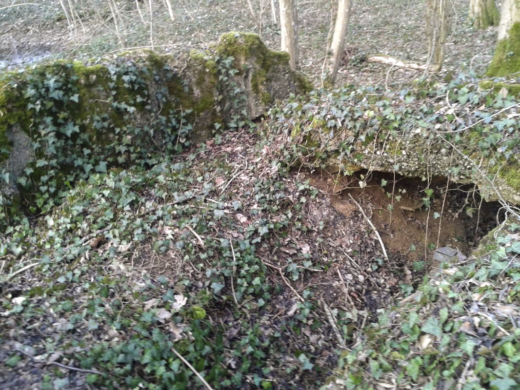 Ligne Maginot - BOIS DU FAYEL (I/143° RALH) - (PC de Sous-Secteur) - Ce PC n'existe pratiquement plus.
Il ne reste qu'un vestige effondré et envahi par la nature. On voit encore un peu la tôle arrondie qui constituait le ou les bâtiments