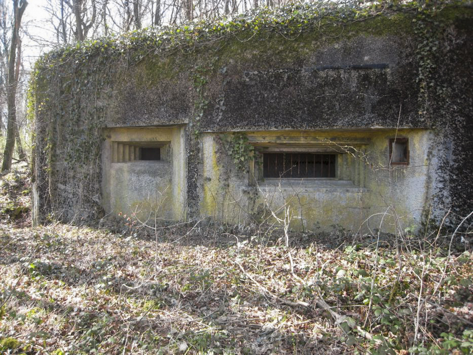 Ligne Maginot - DB30 - BOIS DE TAPPE.. - (Blockhaus pour canon) -  - Pruzsina jerome