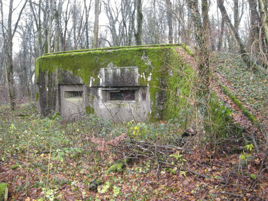Ligne Maginot - DB33 - BOIS GRIGNET - (Blockhaus pour canon) -  - Pruzsina jerome