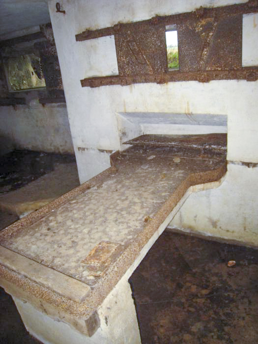 Ligne Maginot - DB33 - BOIS GRIGNET - (Blockhaus pour canon) -  - Pruzsina jerome