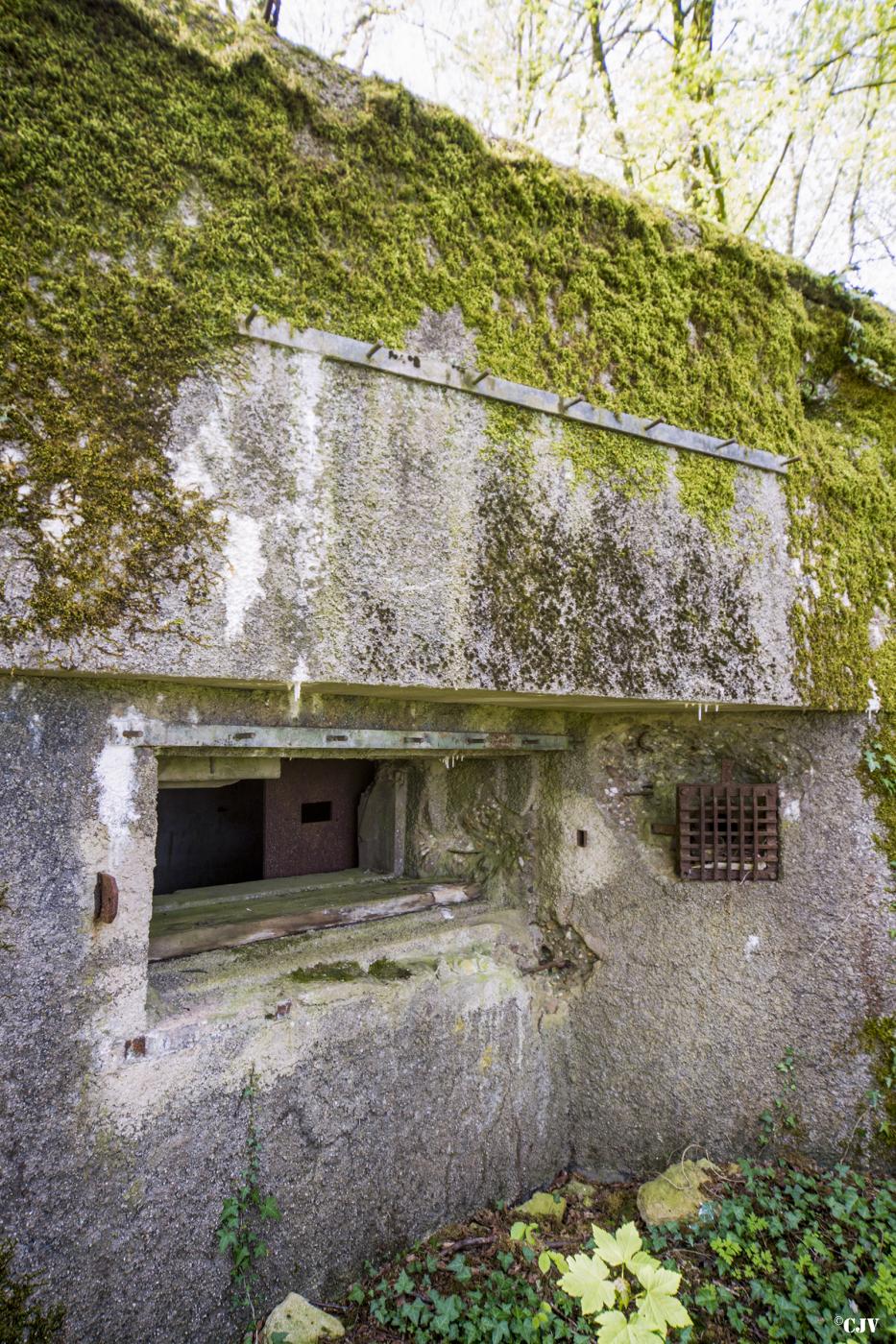 Ligne Maginot - DB33 - BOIS GRIGNET - (Blockhaus pour canon) -  - Lia VERMEULEN