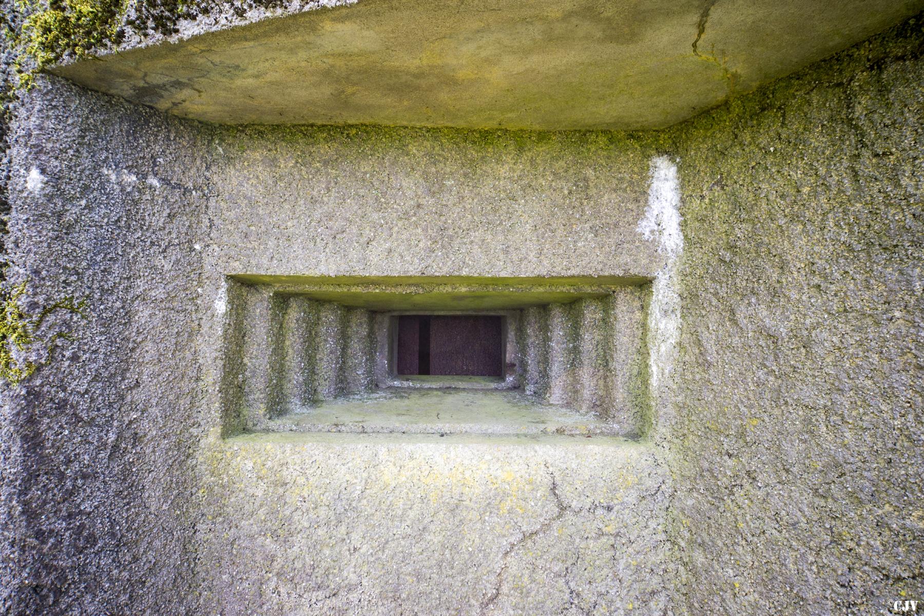 Ligne Maginot - DB33 - BOIS GRIGNET - (Blockhaus pour canon) -  - Lia VERMEULEN