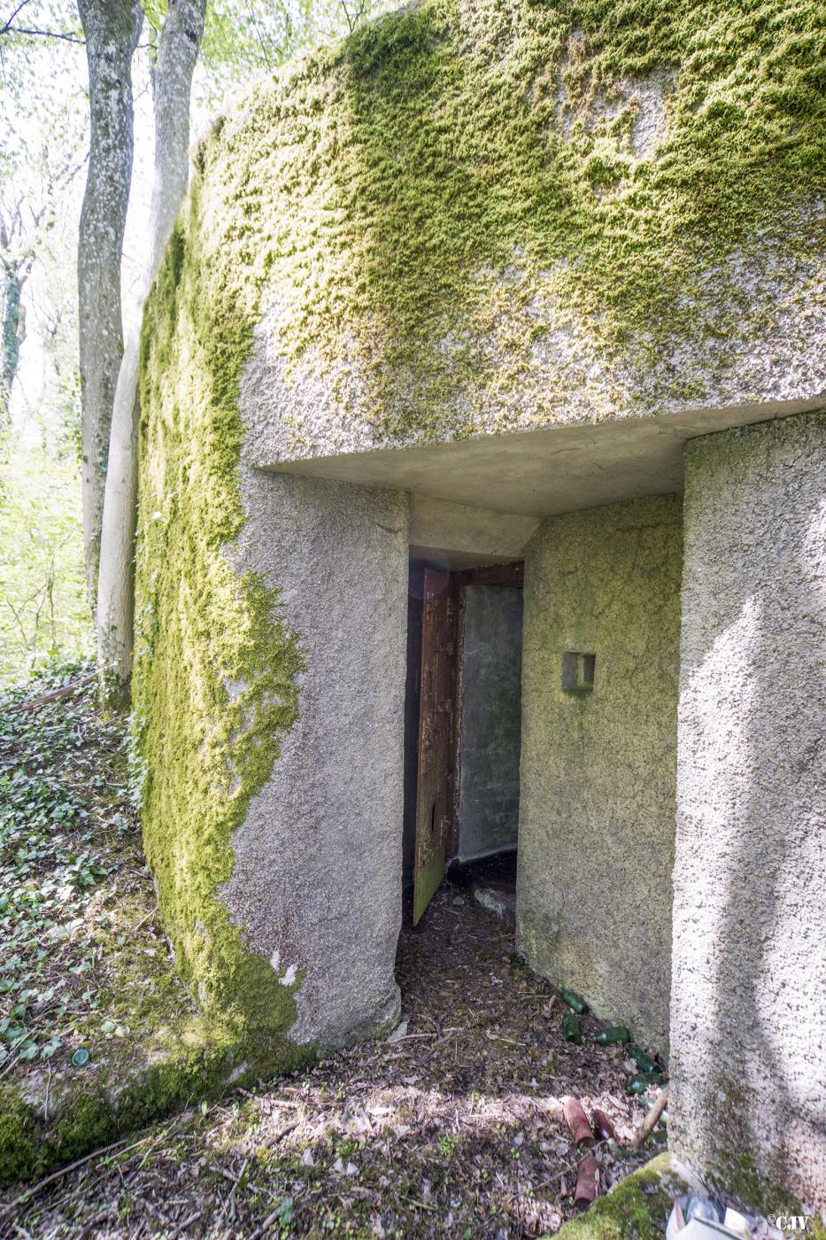 Ligne Maginot - DB33 - BOIS GRIGNET - (Blockhaus pour canon) -  - Lia VERMEULEN