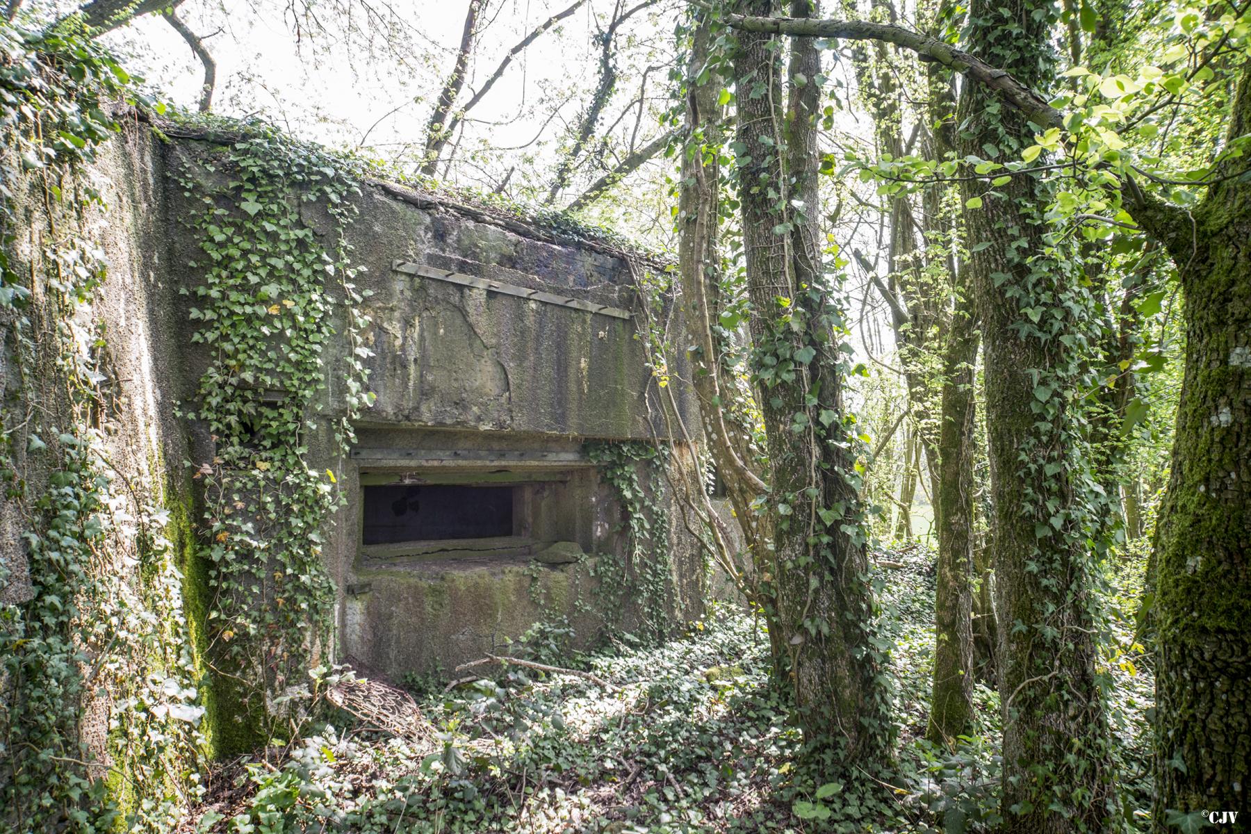 Ligne Maginot - DB34 - LA HAIE AUX MURES - (Blockhaus pour canon) -  - Lia VERMEULEN