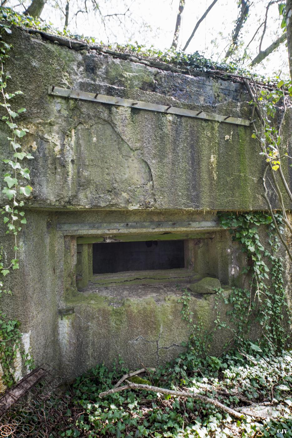 Ligne Maginot - DB34 - LA HAIE AUX MURES - (Blockhaus pour canon) -  - Lia VERMEULEN