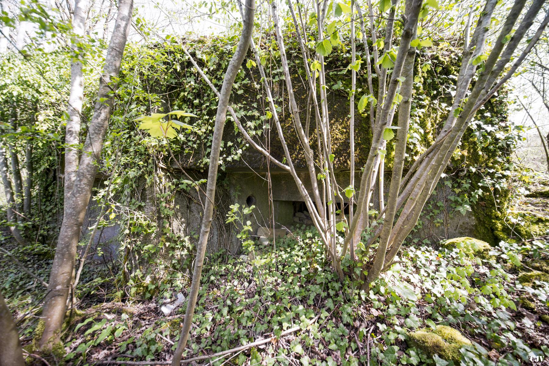 Ligne Maginot - DB35 - FROIDCUL - (Blockhaus pour canon) - Le second créneau pour mitrailleuses - Lia VERMEULEN