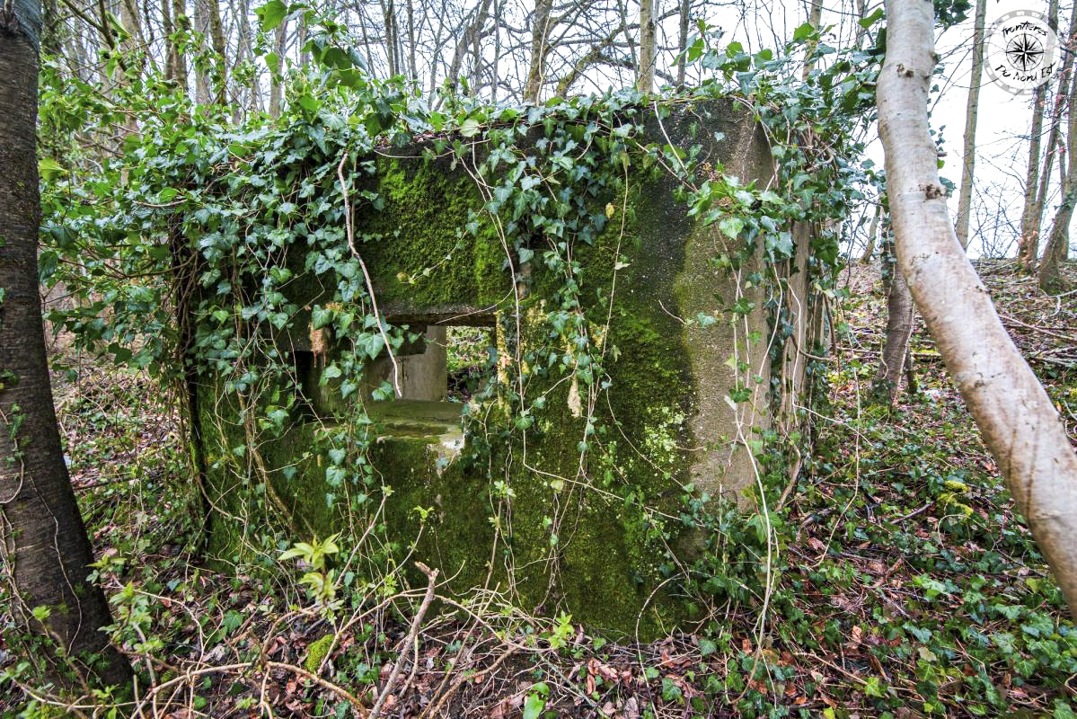 Ligne Maginot - DBO6 - (Blockhaus pour canon) -  - Thierry Caland