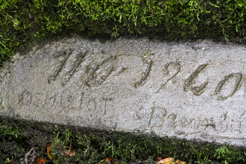 Ligne Maginot - DB316 - BOIS DE BEUVEILLE OUEST 1 - (Blockhaus pour arme infanterie) -                    - Alain Perouffe