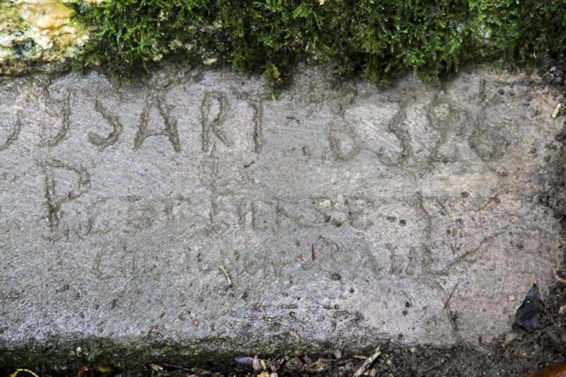 Ligne Maginot - DB316 - BOIS DE BEUVEILLE OUEST 1 - (Blockhaus pour arme infanterie) -                      - Alain Perouffe