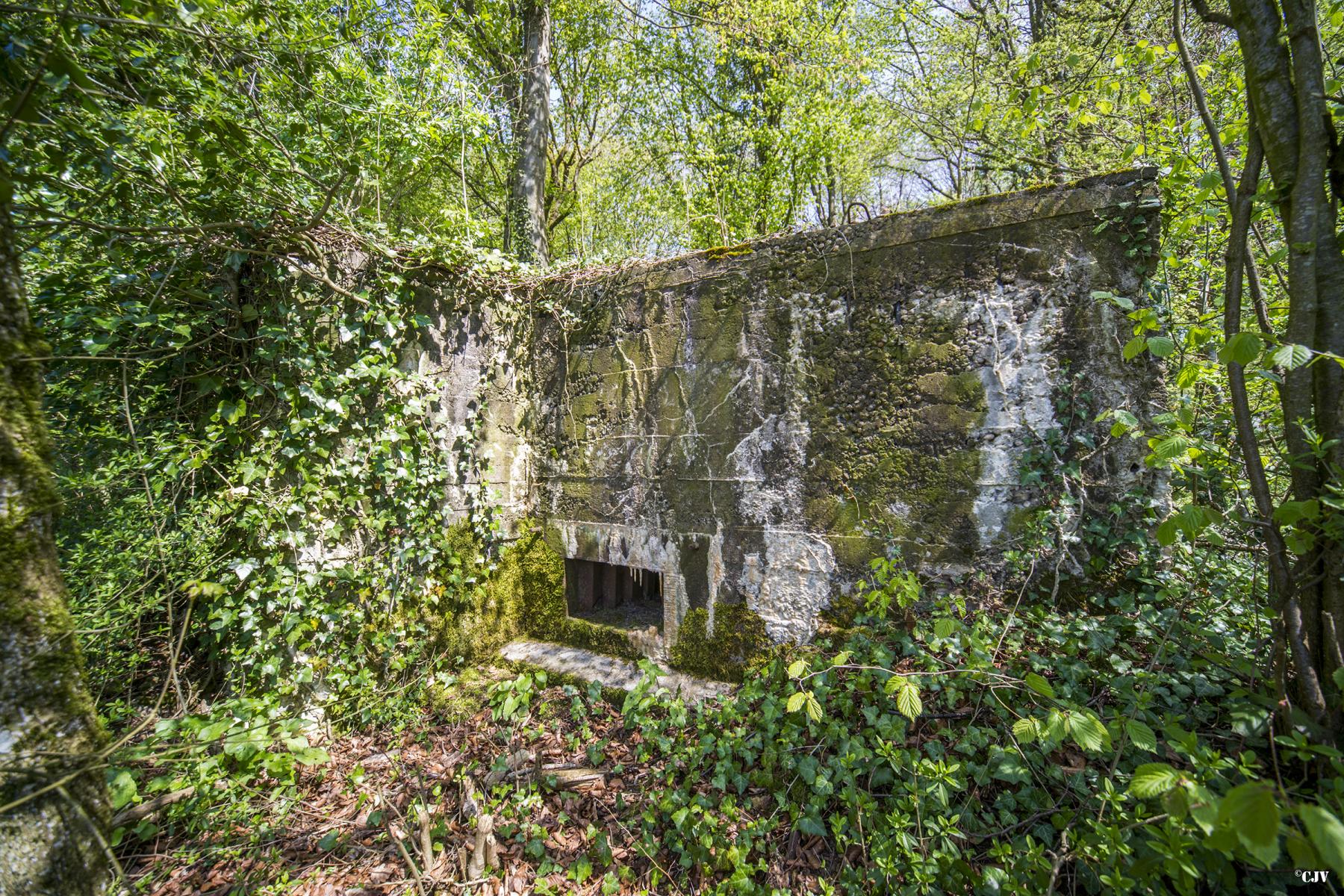 Ligne Maginot - DB316 - BOIS DE BEUVEILLE OUEST 1 - (Blockhaus pour arme infanterie) -  - Lia VERMEULEN