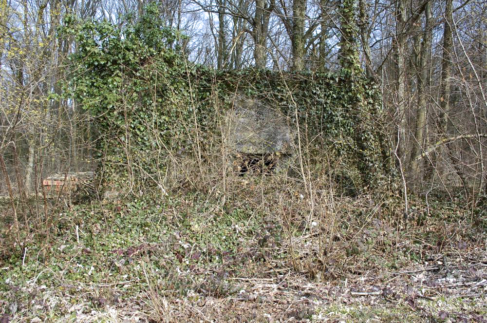 Ligne Maginot - DB317 - BOIS DE BEUVEILLE  OUEST 2 - (Blockhaus pour canon) - De nos jours ce blockhaus est perdu dans la forêt qui a repris ses droits. Situé le long d'un sentier agricole défoncé il est difficilement visible. - Christian RICHON