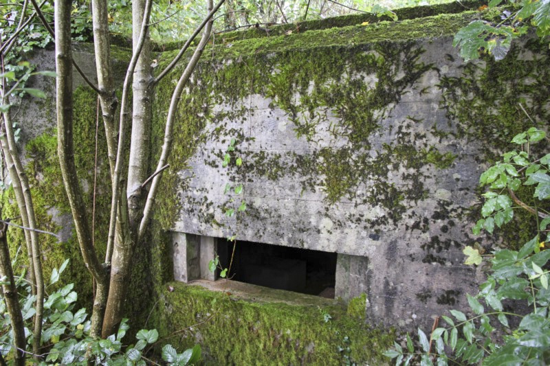 Ligne Maginot - DB318 - BOIS DE BEUVEILLE NORD OUEST - (Blockhaus pour canon) -  - Alain Perouffe