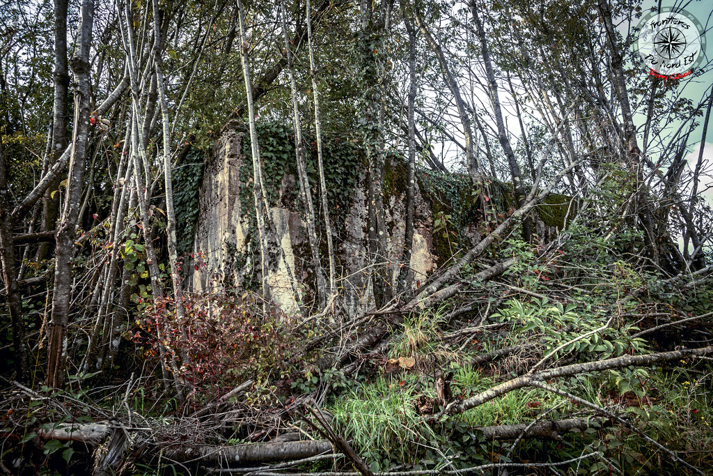 Ligne Maginot - MOREMONT Nord - (Blockhaus pour canon) - Difficilement visible