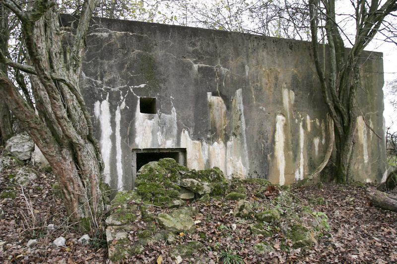 Ligne Maginot - DB327 - HAIE AUX MURES 1 - (Blockhaus pour canon) - Mom pour antichar - Georges Huygen