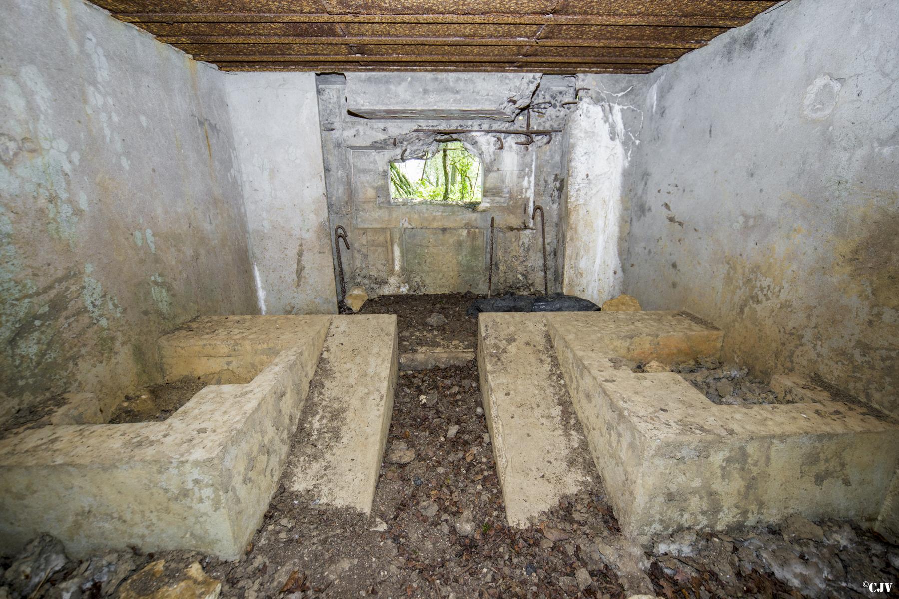 Ligne Maginot - DB327 - HAIE AUX MURES 1 - (Blockhaus pour canon) -  - Lia VERMEULEN