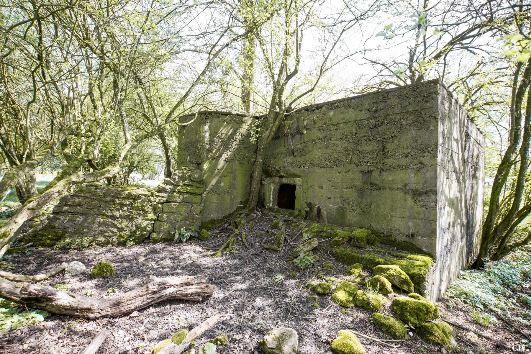 Ligne Maginot - DB328 - HAIE AUX MURES 2 - (Blockhaus pour arme infanterie) - 