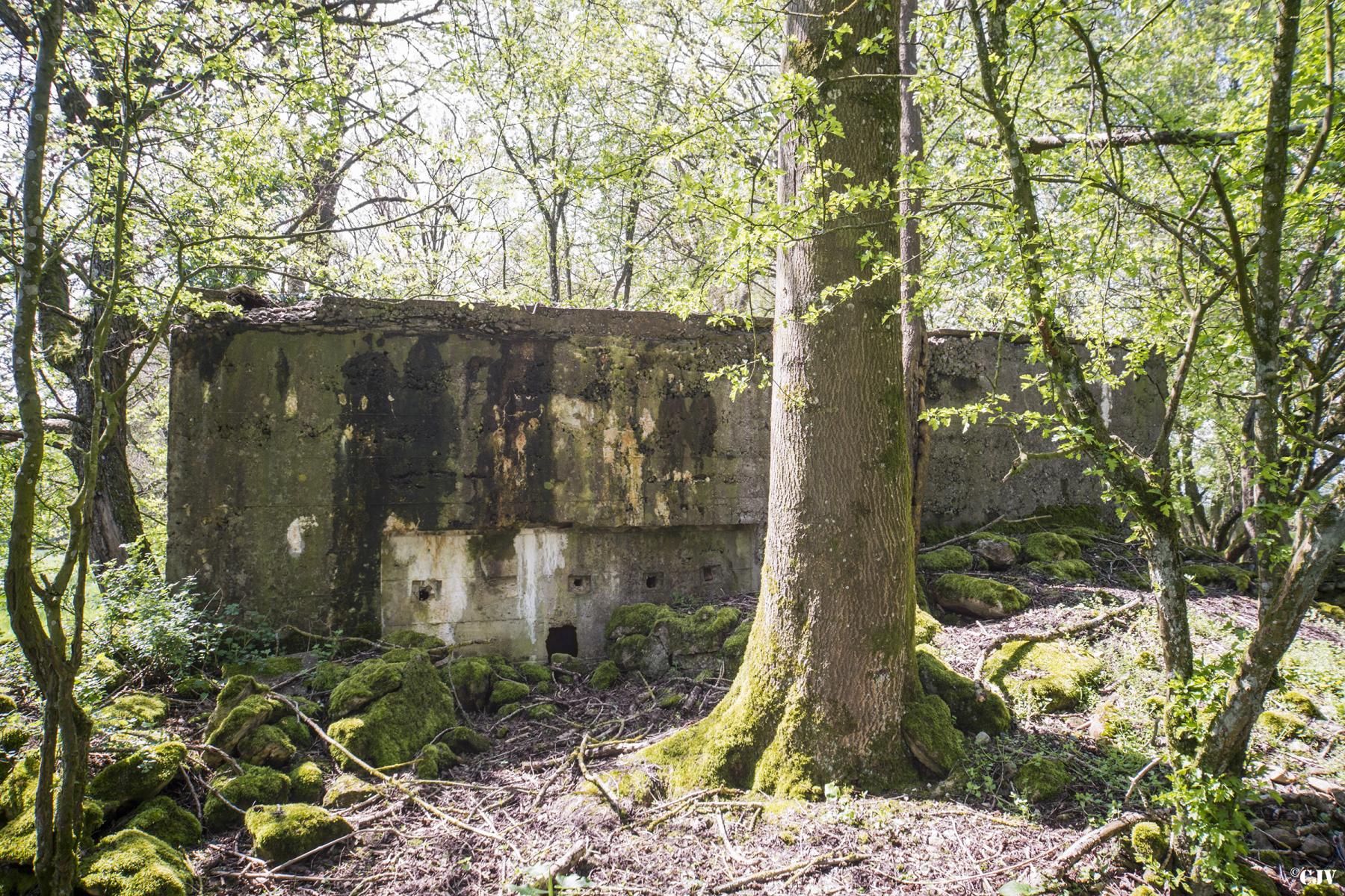Ligne Maginot - DB328 - HAIE AUX MURES 2 - (Blockhaus pour arme infanterie) -  - Lia VERMEULEN