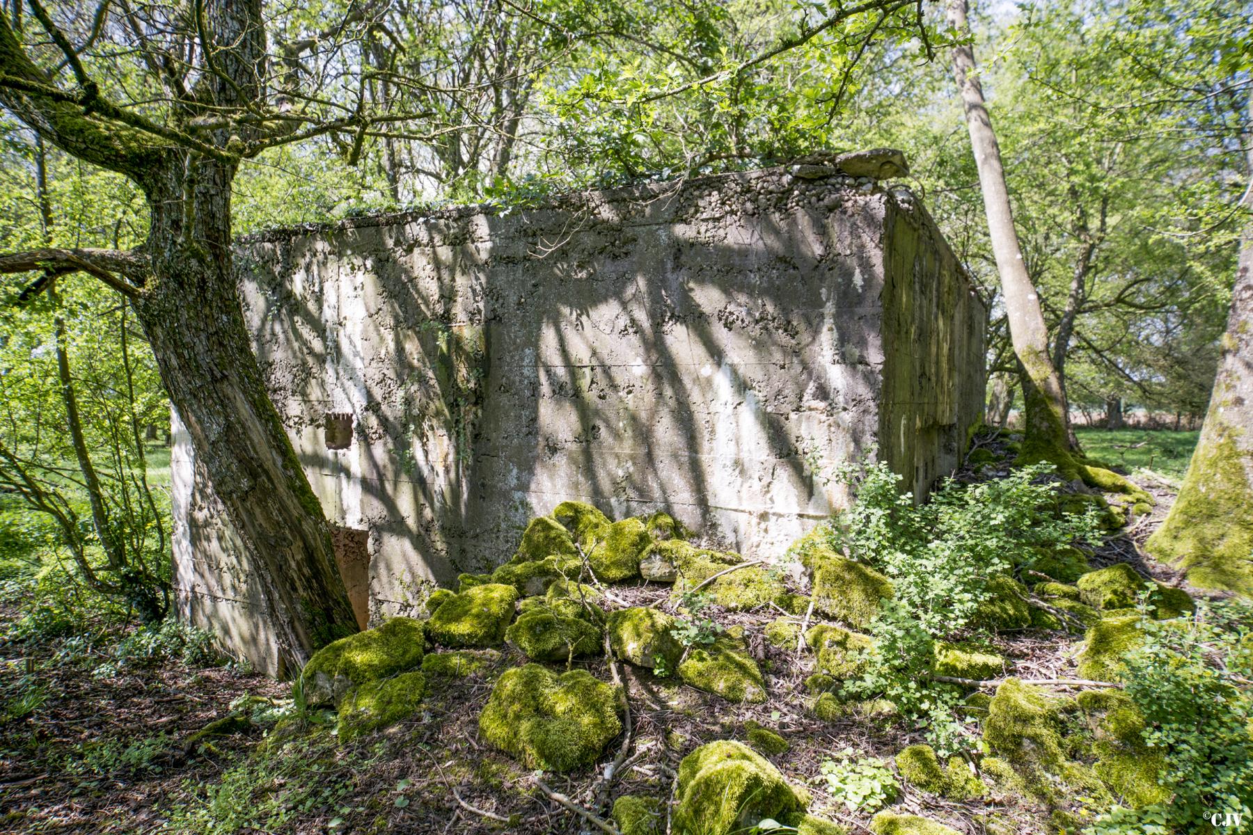 Ligne Maginot - DB328 - HAIE AUX MURES 2 - (Blockhaus pour arme infanterie) -  - Lia VERMEULEN