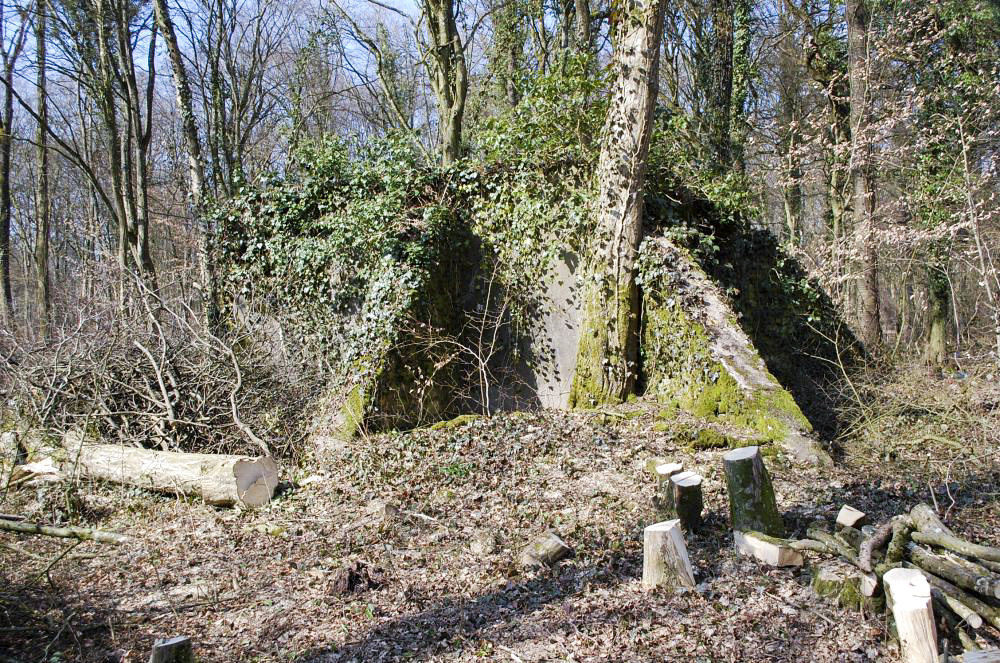 Ligne Maginot - DB329 - BOIS DE LA HEURETTE EST - (Blockhaus pour canon) - L'ouvrage - Christian RICHON/devoitine520