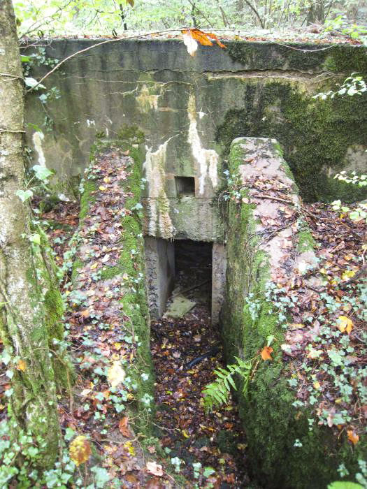 Ligne Maginot - DB330 - BOIS DE LA HEURETTE CENTRE - (Blockhaus pour arme infanterie) - Vue de  la tranchée menant à l'entrée