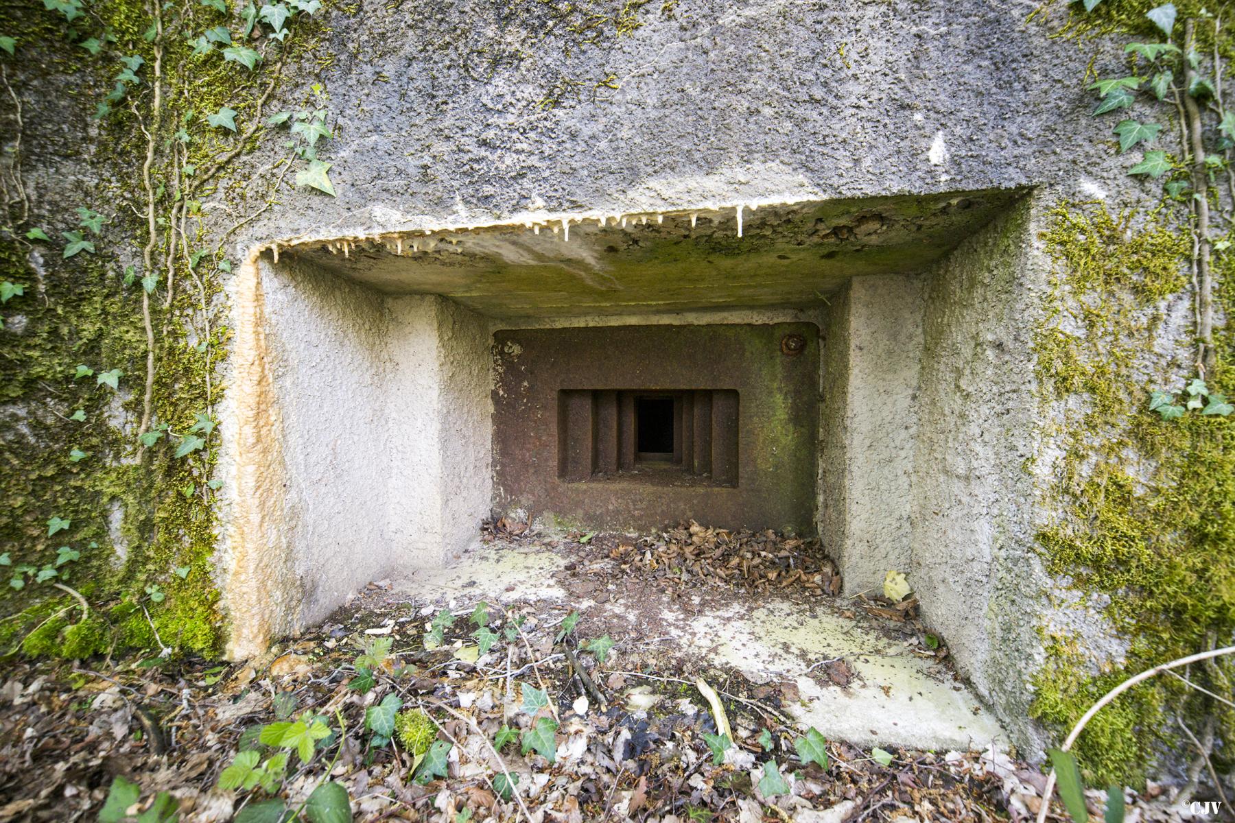 Ligne Maginot - DB330 - BOIS DE LA HEURETTE CENTRE - (Blockhaus pour arme infanterie) -  - Lia VERMEULEN