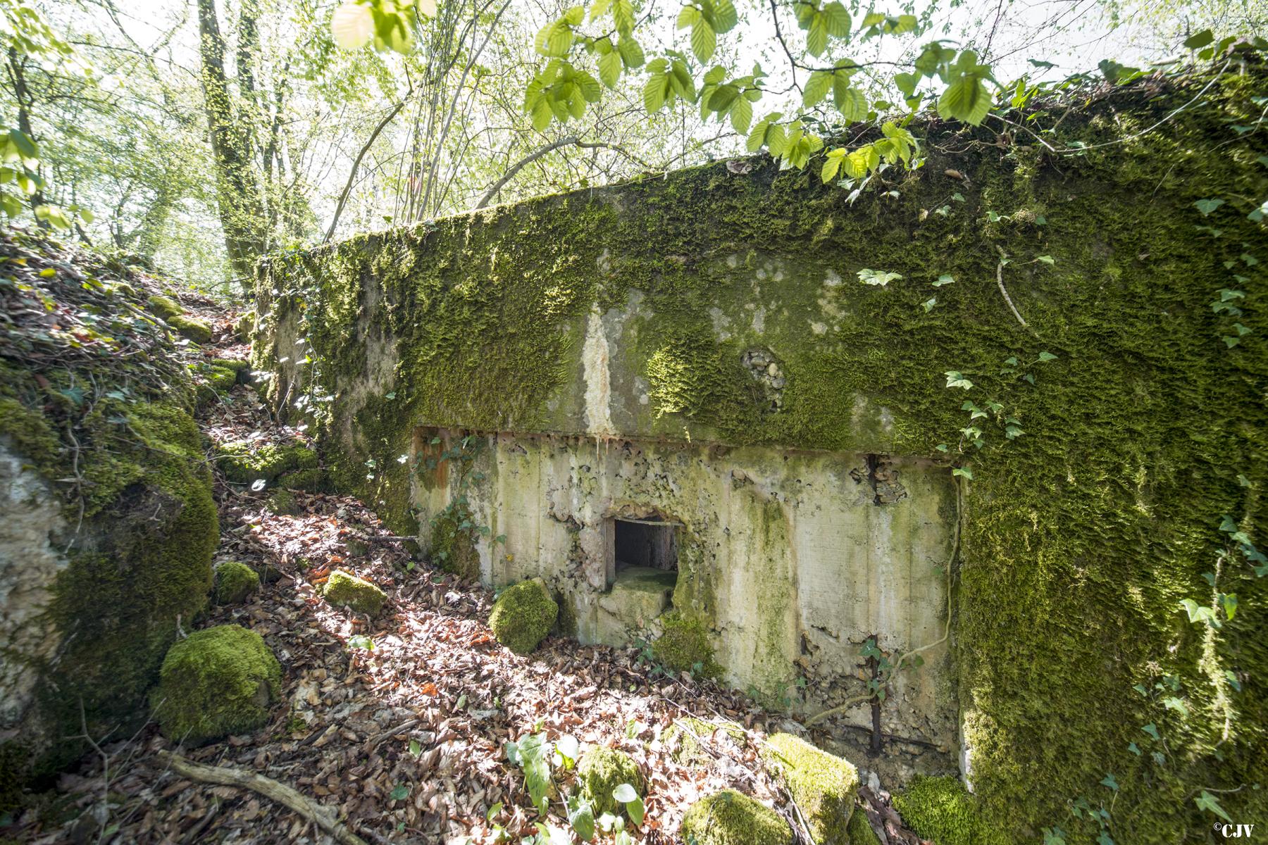 Ligne Maginot - DB331 - BOIS DE LA HEURETTE OUEST - (Blockhaus pour arme infanterie) -  - Lia VERMEULEN