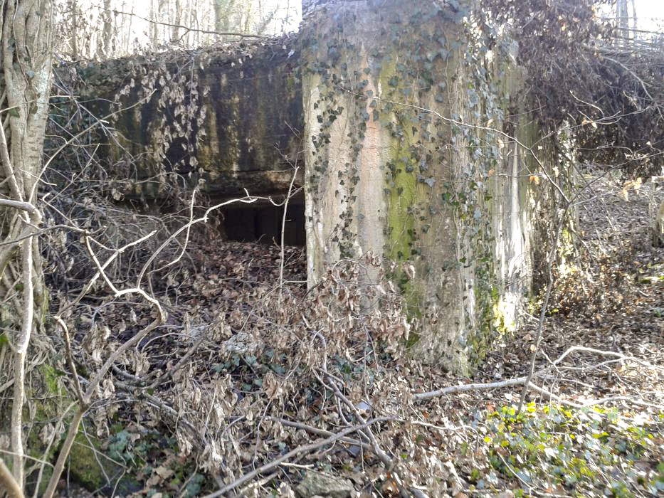 Ligne Maginot - DB335 - GRANDS COTES OUEST - (Blockhaus pour canon) - Le créneau de tir.
Sous son feu la vallée de la Chiers - Christian RICHON/devoitine520