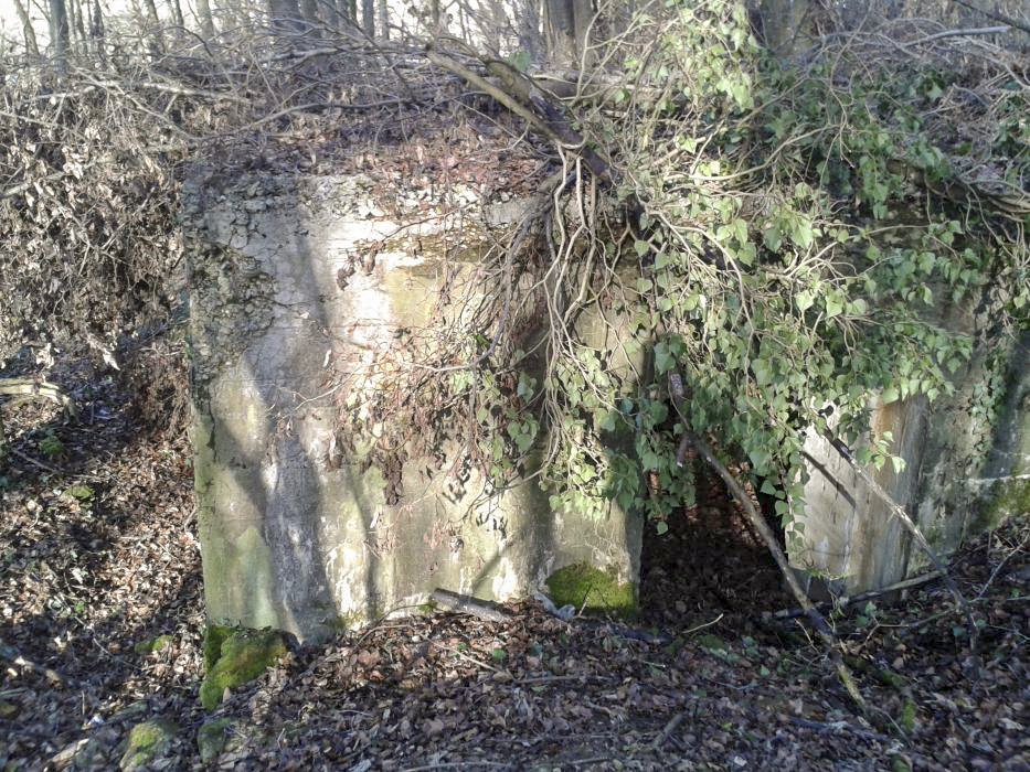 Ligne Maginot - DB335 - GRANDS COTES OUEST - (Blockhaus pour canon) - Vue depuis le talus, l'entrée.