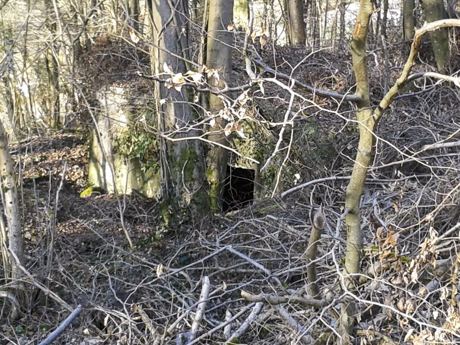 Ligne Maginot - DB335 - GRANDS COTES OUEST - (Blockhaus pour canon) - Ouvrage en contrebas de la route de Longuyon à Marville. Talus escarpé et encombré d'arbres abattus.