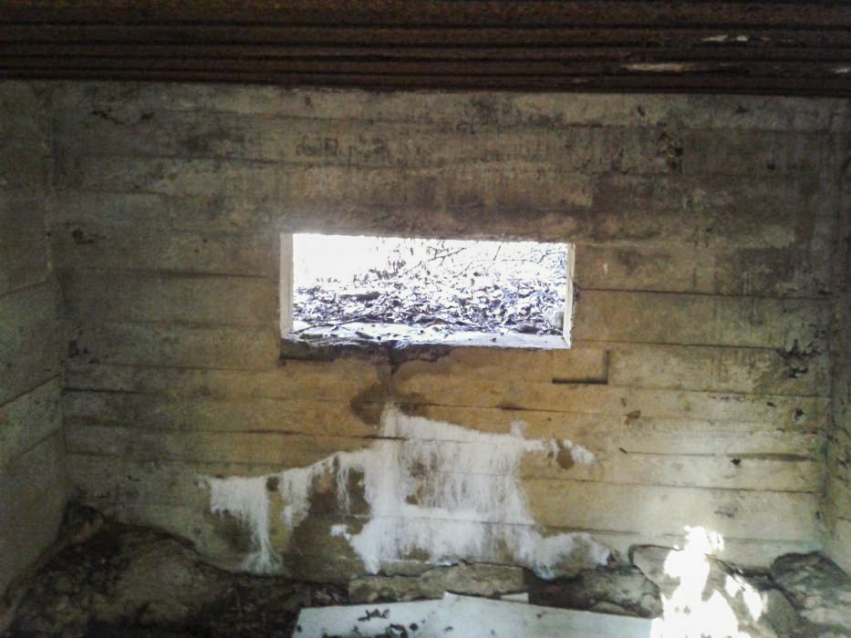 Ligne Maginot - DB335 - GRANDS COTES OUEST - (Blockhaus pour canon) - L'intérieur - Christian RICHON/devoitine520