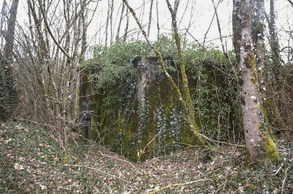 Ligne Maginot - DB355 - LA LOUVIERE - (Blockhaus pour arme infanterie) - Situé à proximité du PC de la Louvière cet ouvrage est entouré d'arbres et ronces qui le font disparaître. En hiver il est difficilement visible. En été il est invisible - Christian RICHON/devoitine520