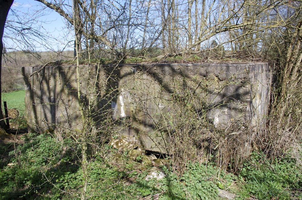 Ligne Maginot - DB374 - LE FOURNEAU 2 - (Blockhaus pour canon) -  - Christian RICHON/devoitine520