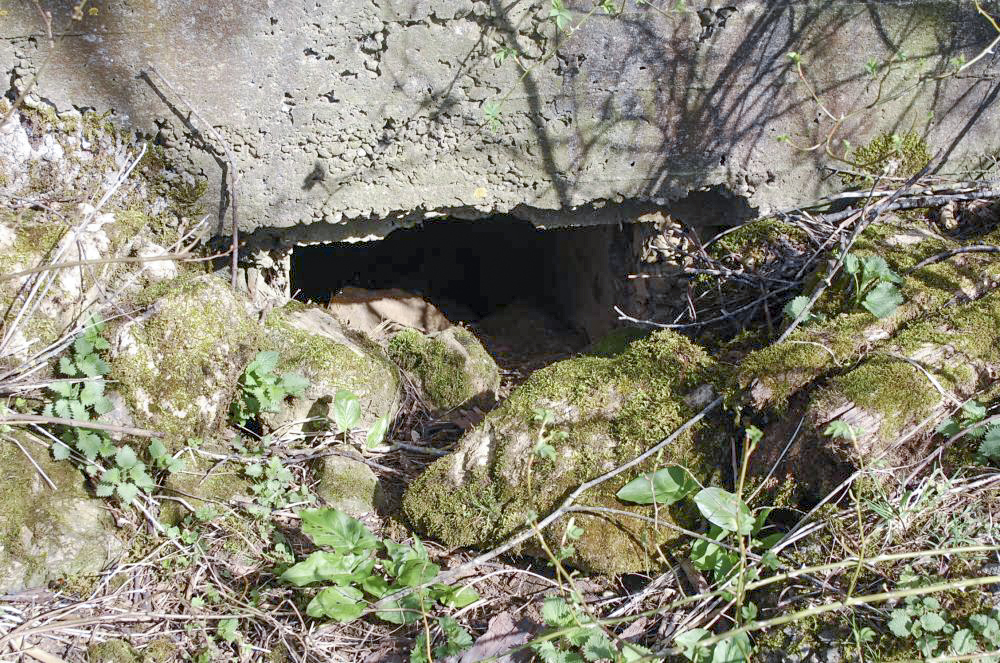 Ligne Maginot - DB374 - LE FOURNEAU 2 - (Blockhaus pour canon) -  - Christian RICHON/devoitine520