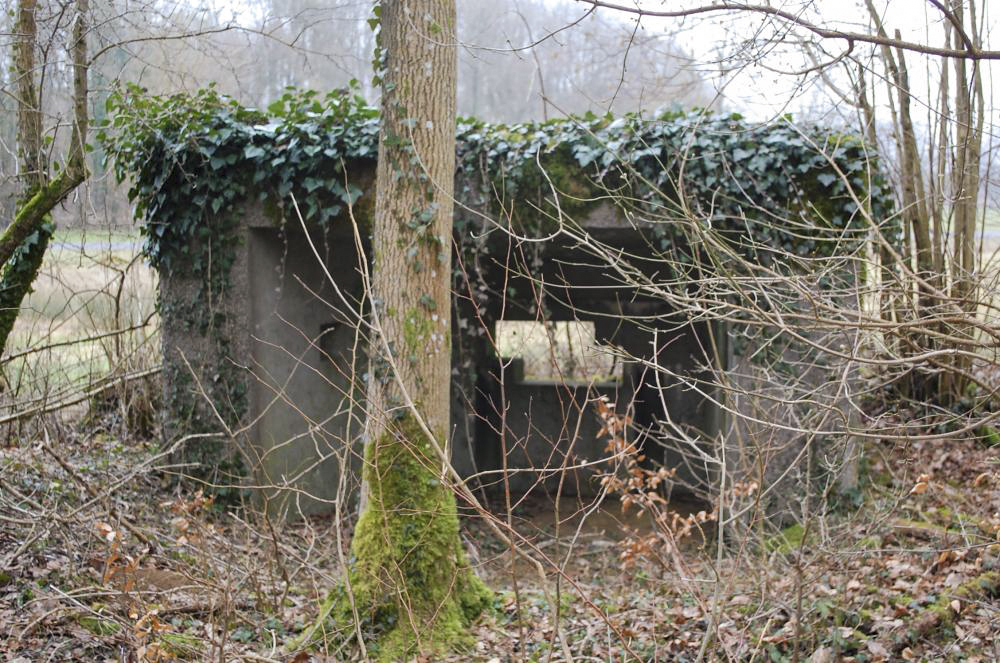 Ligne Maginot - Dbo11 ( Blockhaus pour canon ) - L'ouvrage de derrière vers le créneau de tir