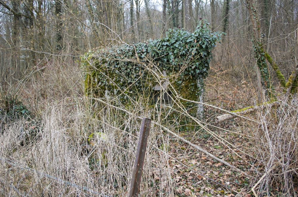 Ligne Maginot - Dbo11 ( Blockhaus pour canon ) - Vue de l'autre côté