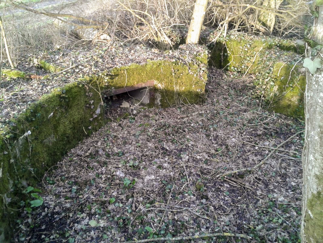 Ligne Maginot - DC6 - (Cuve pour canon) - La cuve est à environ 20 mètres de ce qui fut le dépôt du Bois du Fayel. Là aussi la nature a repris sa place et on voit encore la forme circulaire de la dite cuve envahie de plantes et autres herbes. - Christian RICHON / Devoitine520