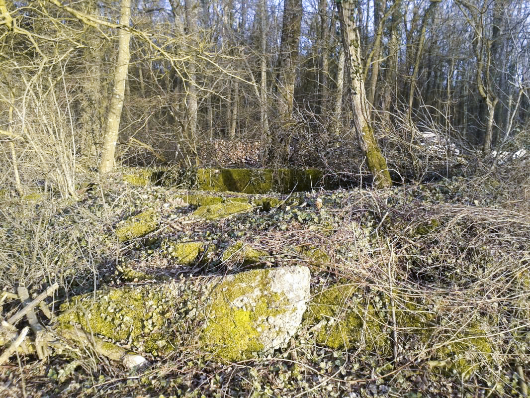 Ligne Maginot - DC6 - (Cuve pour canon) - La cuve est à environ 20 mètres de ce qui fut le dépôt du Bois du Fayel. Là aussi la nature a repris sa place et on voit encore la forme circulaire de la dite cuve envahie de plantes et autres herbes. - Christian RICHON / Devoitine520