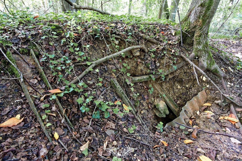Ligne Maginot - DO7 - GRAND BOIS - (Observatoire d'artillerie) - Les restes ; tôles métro et poutres - Thierry Caland